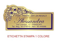 Etichette adesive per fioristi, fiorai e vivaisti grandi (mm 60x31) (cod.8G)